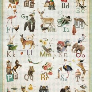 Alfabet Poster & meer Kinderposters